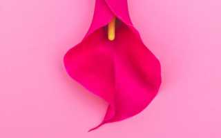 Это нужно знать каждой: основы женской интимной гигиены для здоровья и комфорта