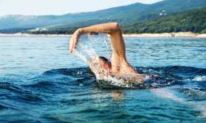 Отдых в воде опасен? Почему акулы нападают на людей и как избежать встречи?