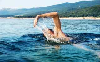 Отдых в воде опасен? Почему акулы нападают на людей и как избежать встречи?