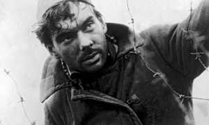 Самые правдивые 15 фильмов о войне 1941-1945, которые доступны бесплатно для просмотра