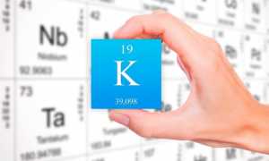В каких продуктах содержится калий?