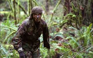 Путь развития современного камуфляжа в военном деле