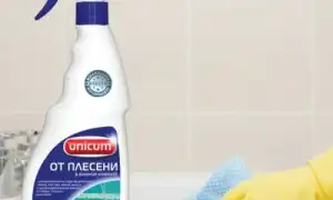 Топ 8 лучших средств от плесени на стене