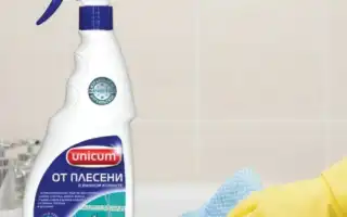 Топ 8 лучших средств от плесени на стене