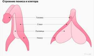 Ощущения и предпочтения в плане мужского оргазма: как получить максимум удовольствия и наслаждения