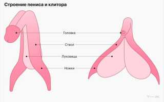 Ощущения и предпочтения в плане мужского оргазма: как получить максимум удовольствия и наслаждения