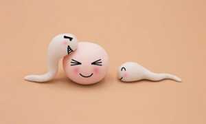 Можно ли забеременеть от мужской смазки? Важные аспекты и советы