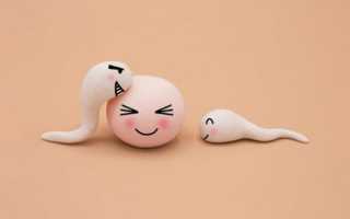 Можно ли забеременеть от мужской смазки? Важные аспекты и советы