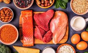 Почему часть рациона человека состоит из продуктов животного происхождения и их значение