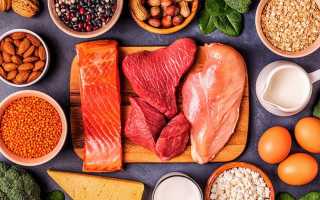 Почему часть рациона человека состоит из продуктов животного происхождения и их значение