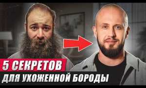 Оральные ласки при бороде: как сделать нежно без «щетины» и сохранить комфорт