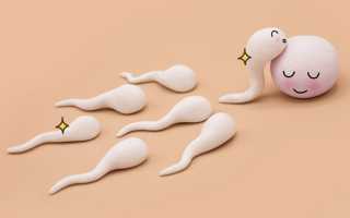 Может ли девственница забеременеть? Как себя обезопасить от нежелательной беременности?