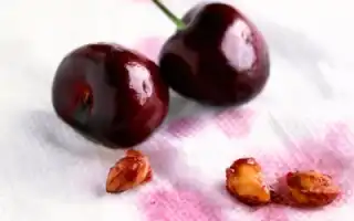 Как остирать пятна от вишни и от вишневого сока?