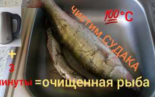 Как почистить судака?