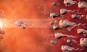 Можно ли девушке забеременеть во время месячных и что об этом нужно знать