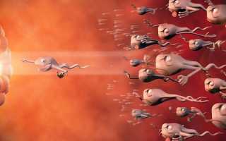 Можно ли девушке забеременеть во время месячных и что об этом нужно знать