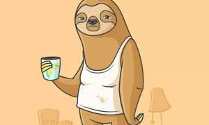 Победи прокрастинацию: как перестать откладывать дела на завтра и начать действовать