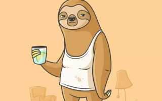 Победи прокрастинацию: как перестать откладывать дела на завтра и начать действовать