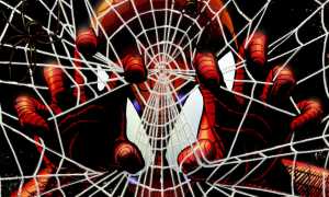 Практические способы как избавиться от пауков в доме навсегда