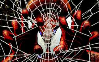 Практические способы как избавиться от пауков в доме навсегда