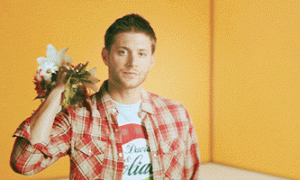 Какие цветы подарить девушке на первом свидании, чтобы сразить ее своим вниманием