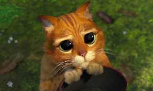 Какие причины кроются за постоянными извинениями в общении