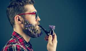 Курсы пикапа как пособие по теории знакомства с противоположным полом для успешных отношений