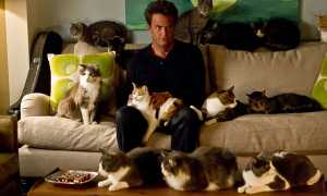 Сделай это! Как научиться привлекать внимание женщин и завоевывать сердца?