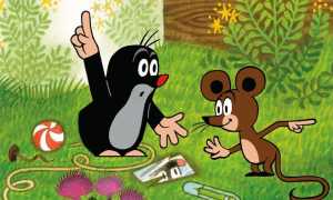 Как быстро и эффективно избавиться от крота на участке без лишних усилий