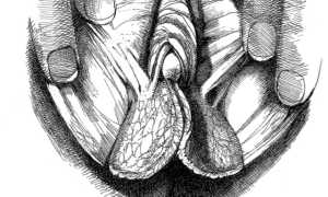 Vagina – 10 громких фактов, о которых не догадаться в жизни