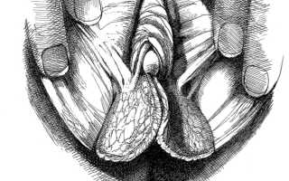 Vagina – 10 громких фактов, о которых не догадаться в жизни