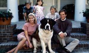 Что такое семья простыми словами? Понимание основ