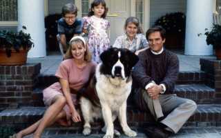 Что такое семья простыми словами? Понимание основ