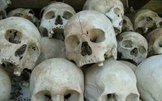 Что стоит за запретом на черепа в Китае: причины и последствия