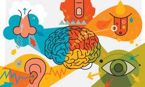 Дигитал: кто это такой и чем занимается?