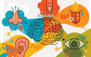 Дигитал: кто это такой и чем занимается?