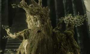 Лесной сторожила – кто такой леший и существует ли он на самом деле в мифах и легендах?