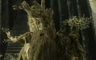 Лесной сторожила – кто такой леший и существует ли он на самом деле в мифах и легендах?