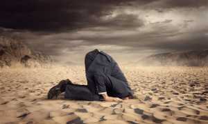 Как перестать бояться общаться с людьми и наладить связи