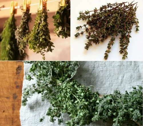 В электросушилке В электросушилке