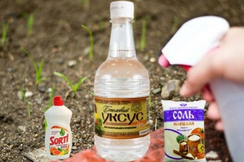 уксус и соль