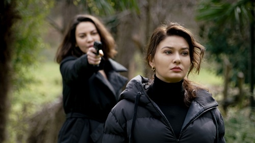 Фильмография и сериалы