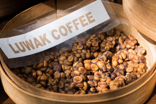 Kopi Luwak