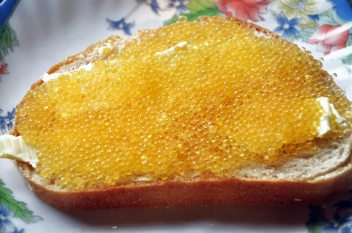 Икра щуки