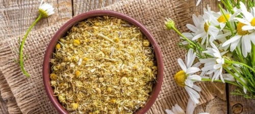 В электрической духовке