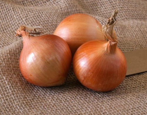 лук