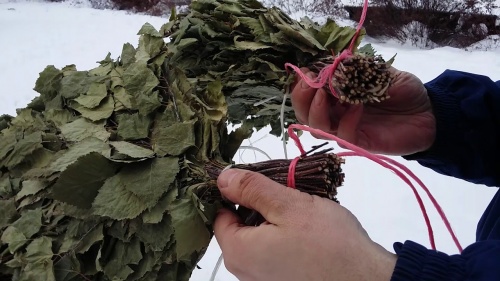 как заготавливать сырье