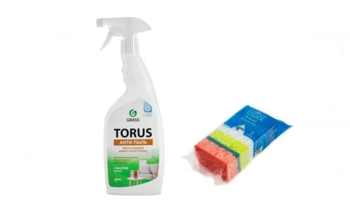 GraSS Torus