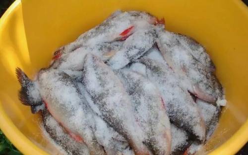 Рыба под солью