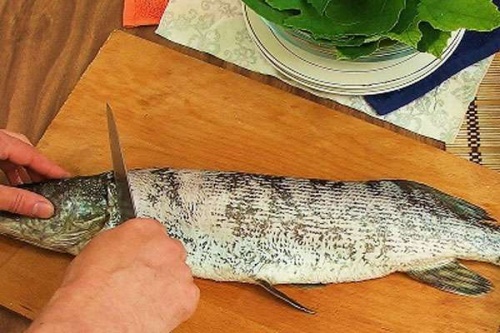 Разделка щуки